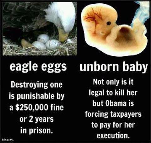 The Obama Value System